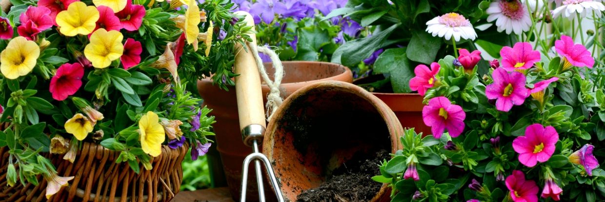 (C) Stefan Körber / fotolia.com